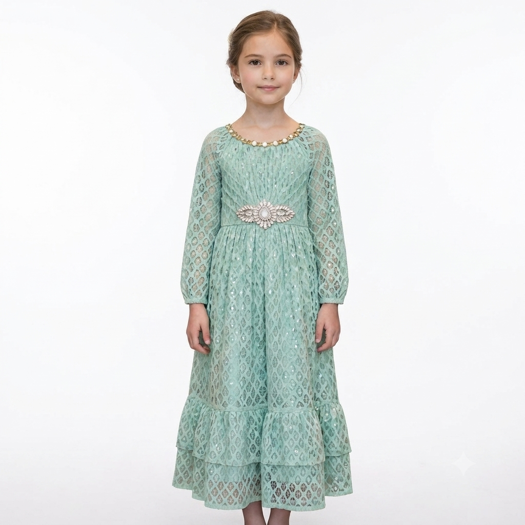 Net frock with broch party wear