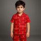 2 piece Boys Toddler Stylish short shirt night suit