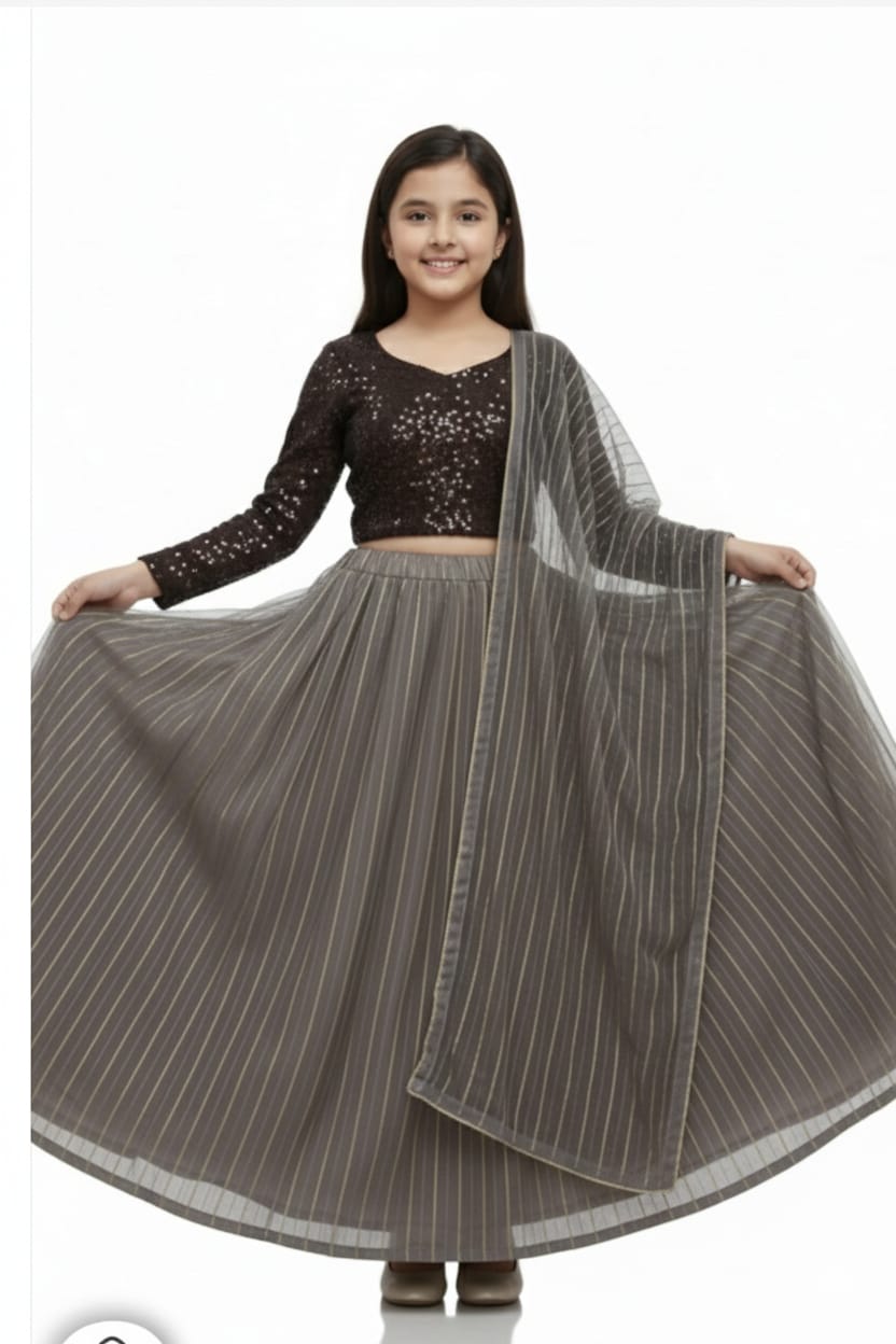 PARTY WEAR LEHNGHA SET 3 PIECE SET