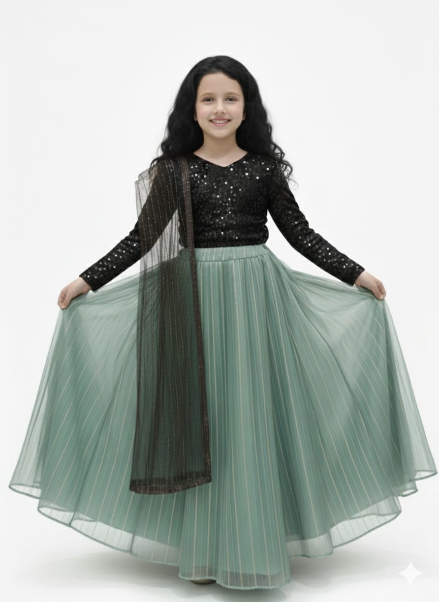 party wear  beautiful  lehenga set kids baby girls